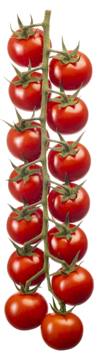 Cherrystar