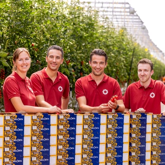 Solliciteer spontaan